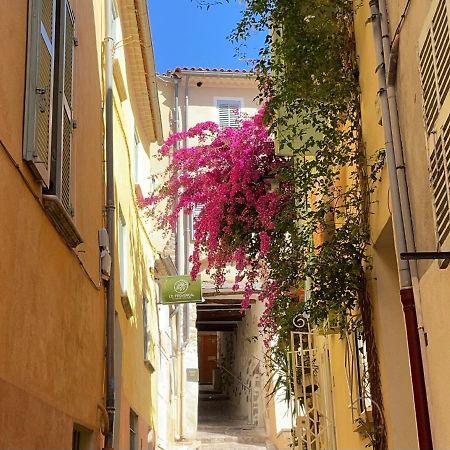 Appartement Palmiers, Coeur De Ville Sur Le Parcours Des Arts 耶尔 外观 照片